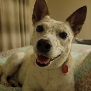 Meet your Posher, Jaymie